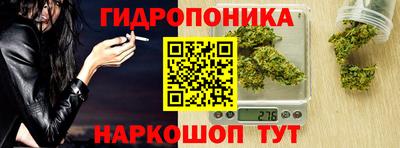 гашик Донской