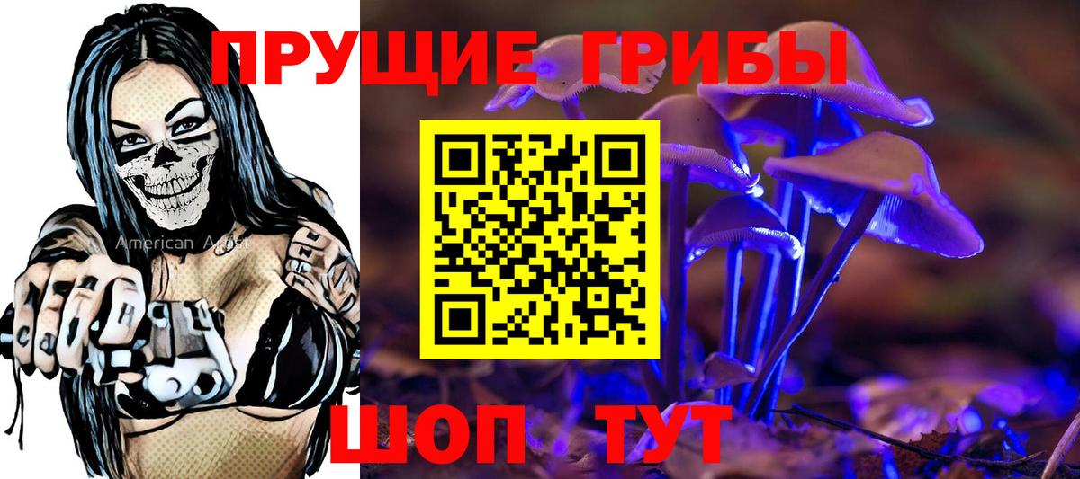 Новочебоксарск  Псилоцибиновые грибы MAGIC MUSHROOMS  Вход с VPN 