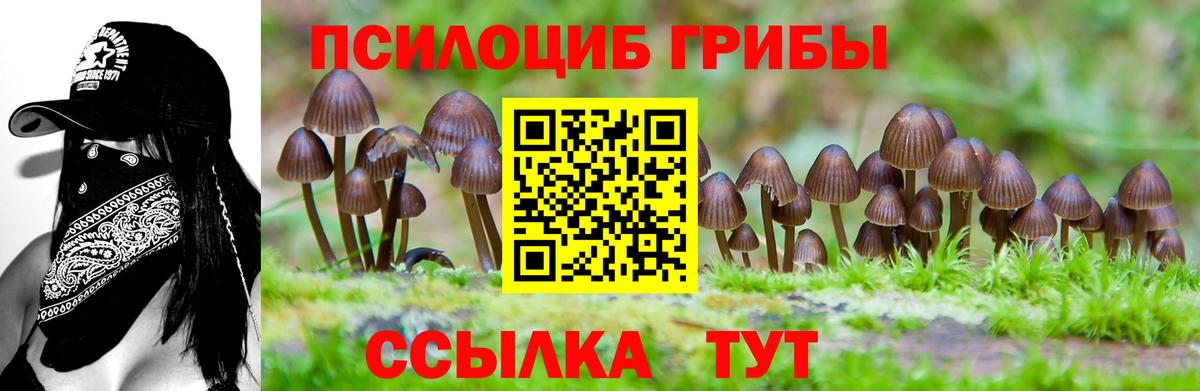 Галлюциногенные грибы мухоморы Новочебоксарск