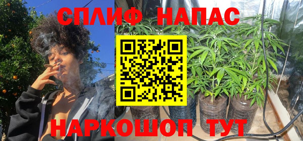 Конопля конопля Новочебоксарск